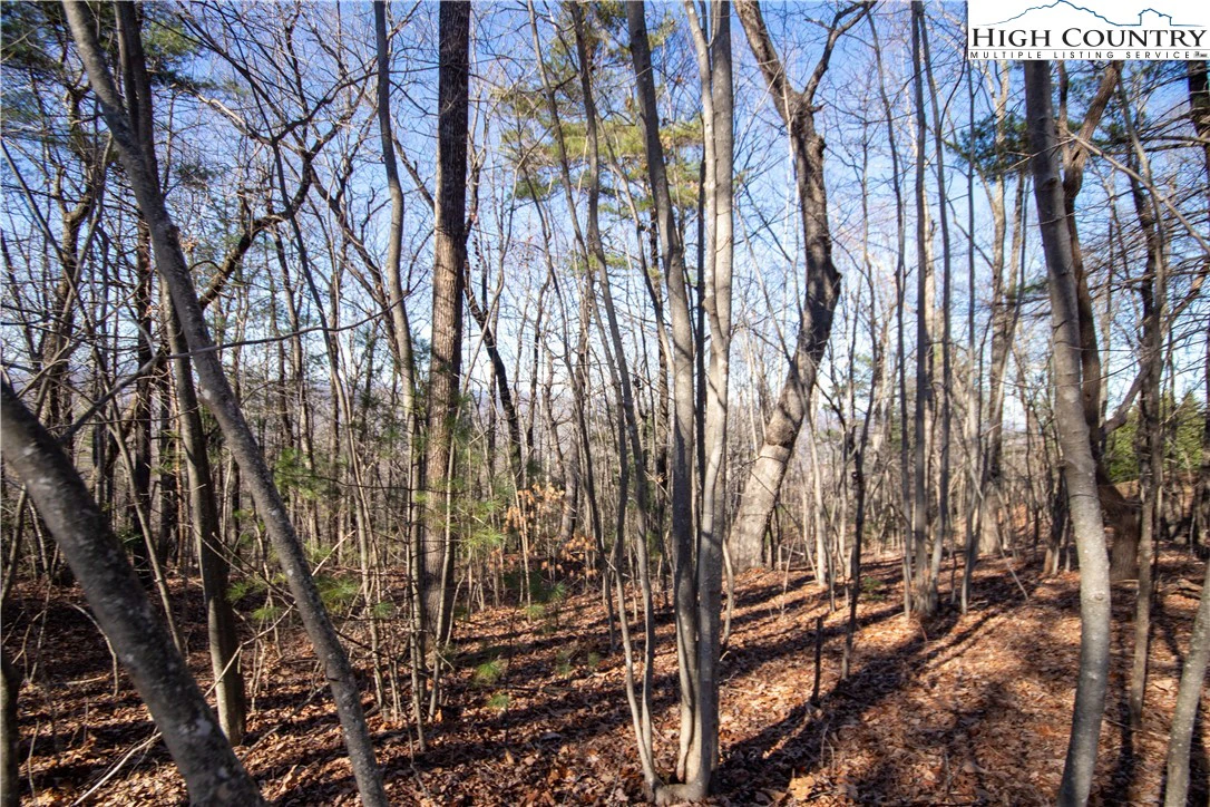 Image number 6 for the current listing