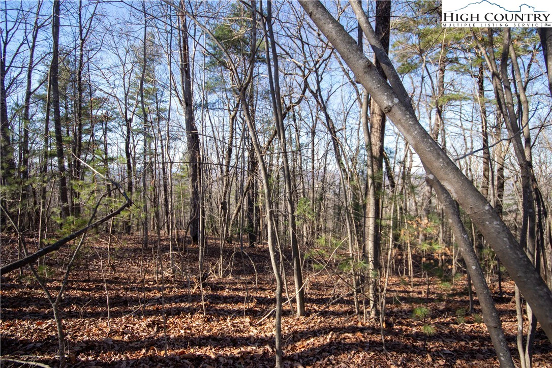 Image number 7 for the current listing