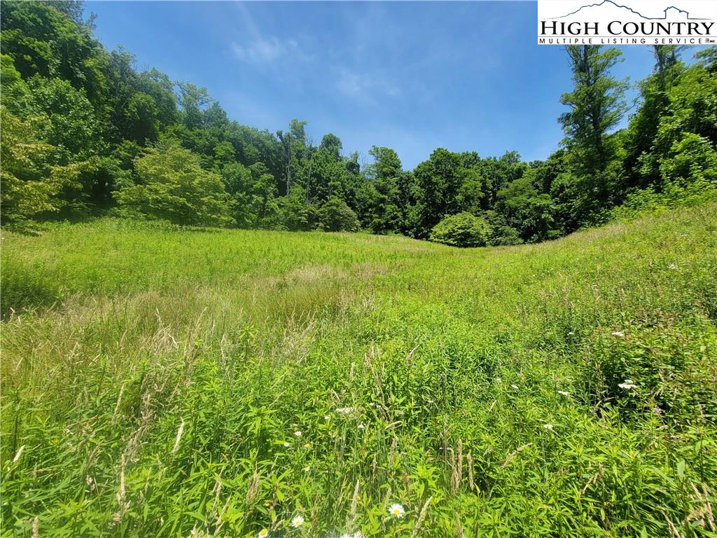 Image number 9 for the current listing