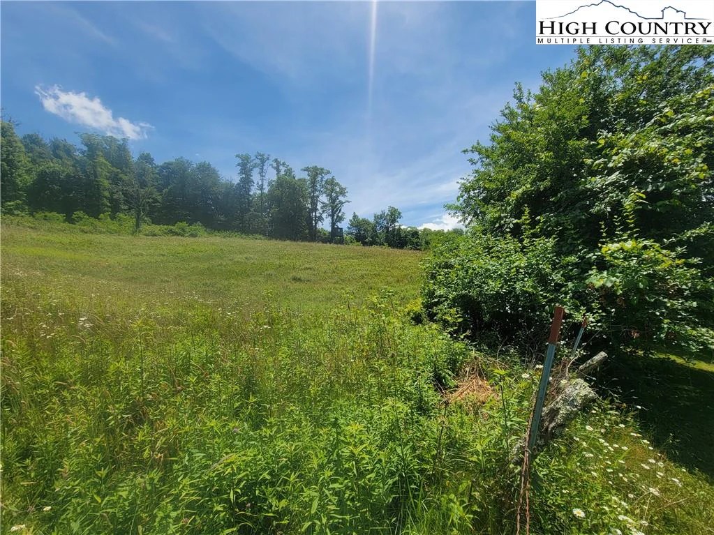 Image number 10 for the current listing