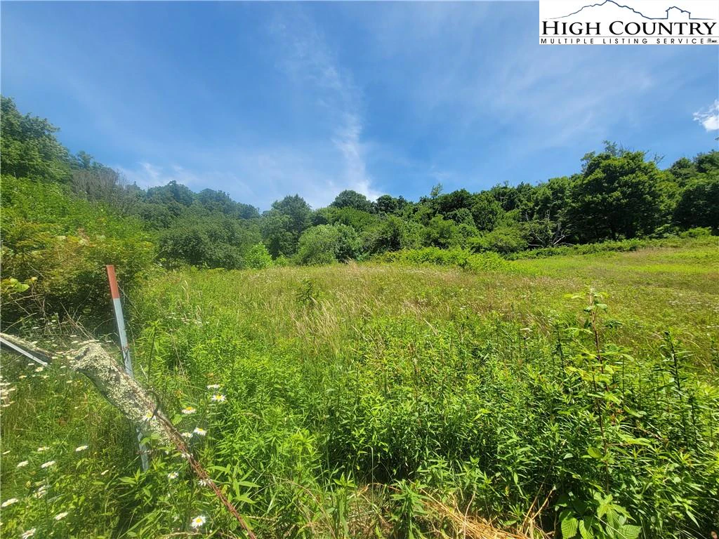 Image number 11 for the current listing