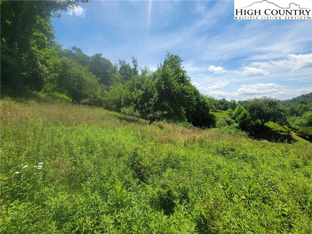 Image number 2 for the current listing