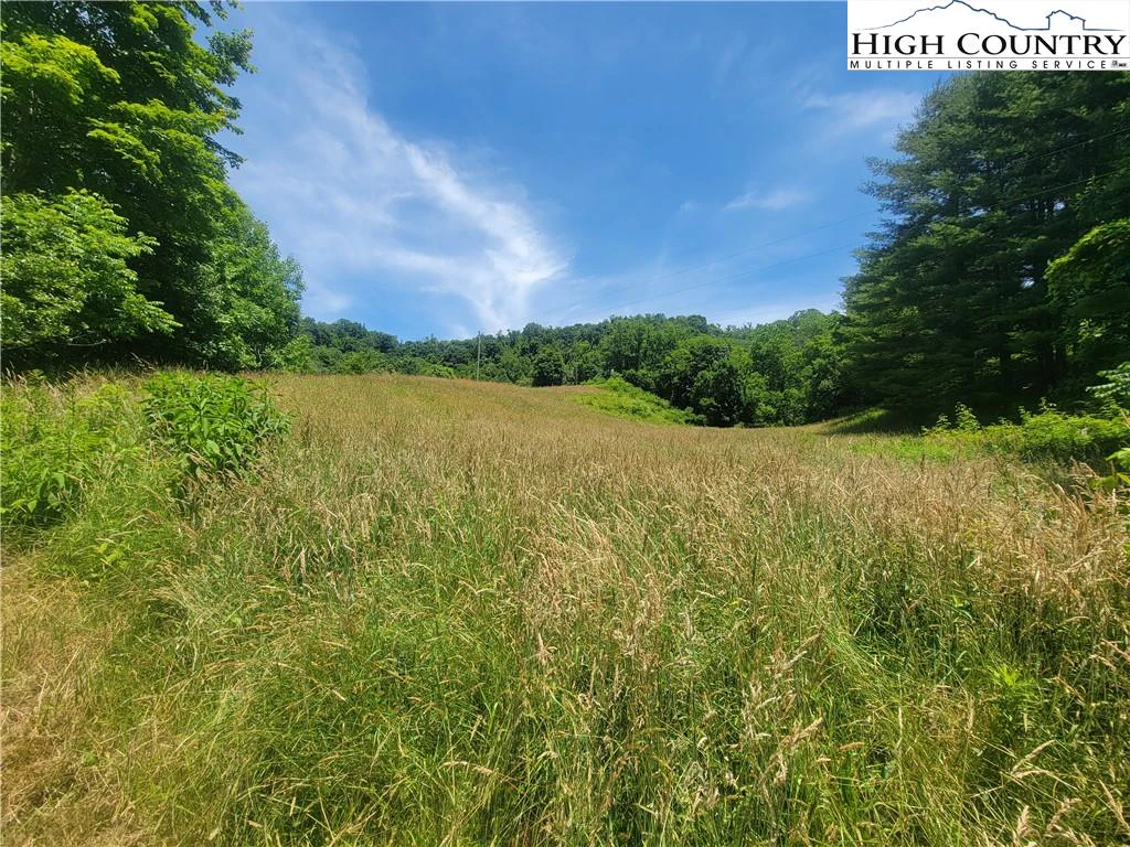Image number 13 for the current listing