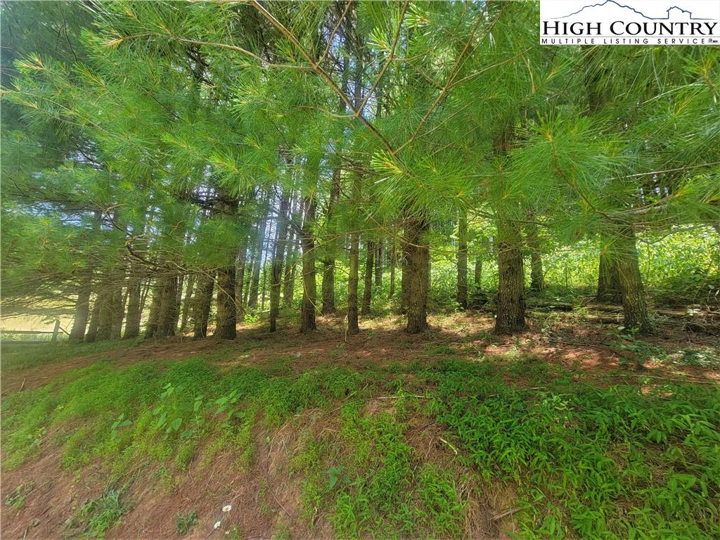 Image number 14 for the current listing