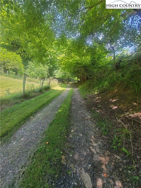 Image number 15 for the current listing