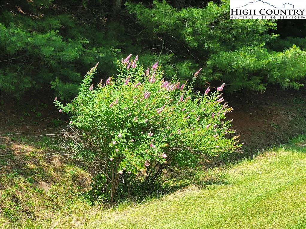 Image number 16 for the current listing