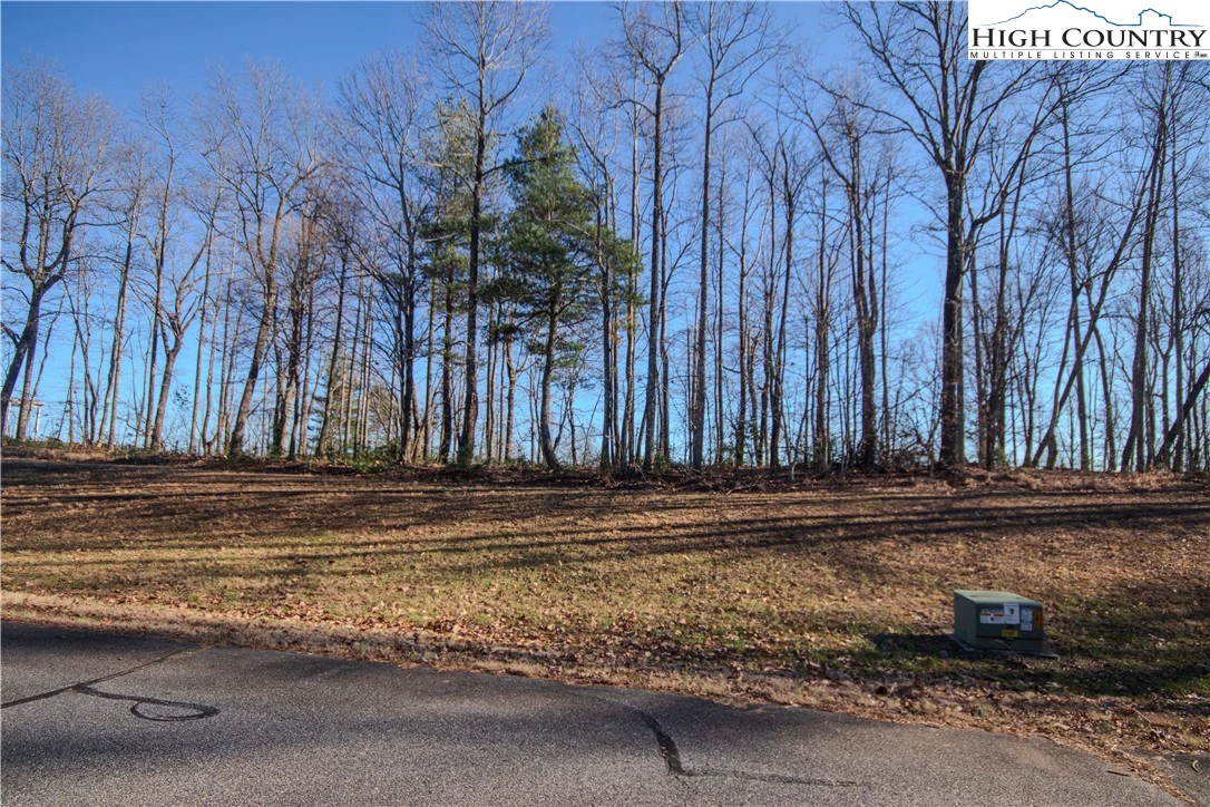 Image number 3 for the current listing