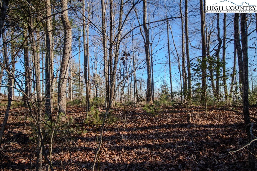 Image number 4 for the current listing