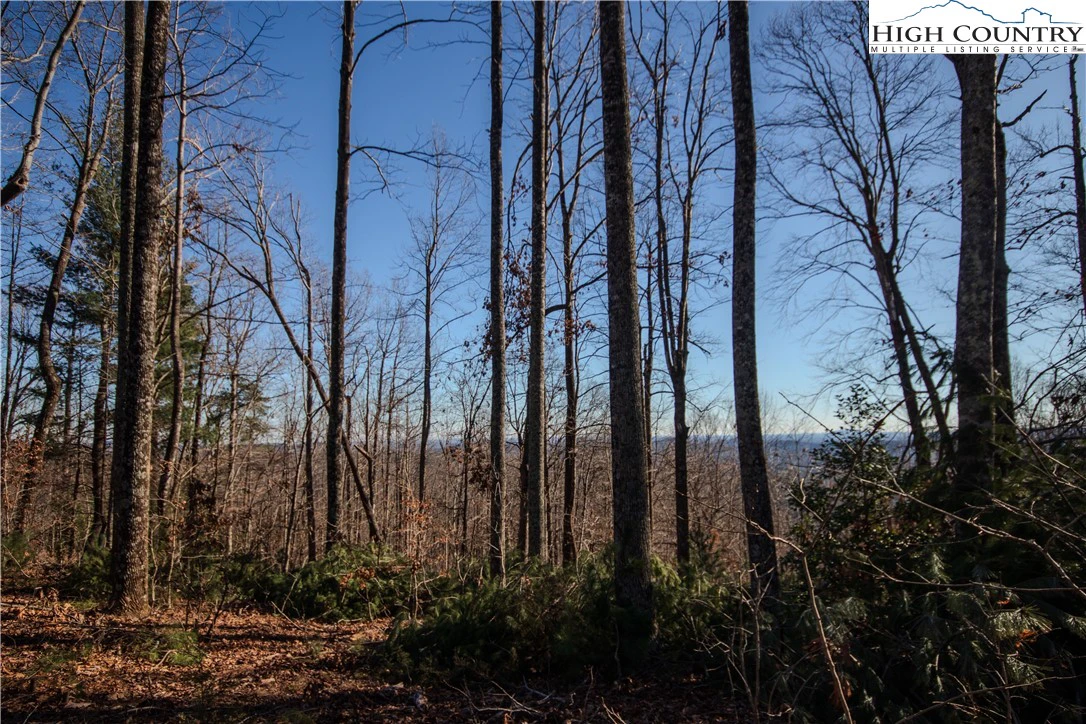 Image number 5 for the current listing