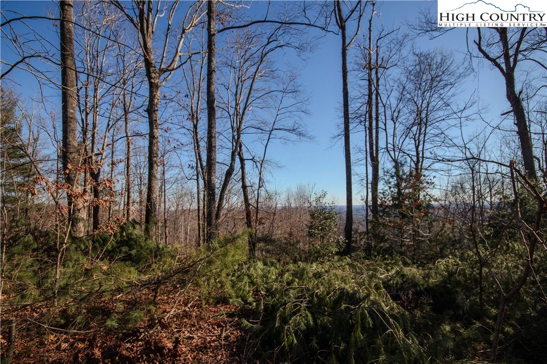 Image number 6 for the current listing