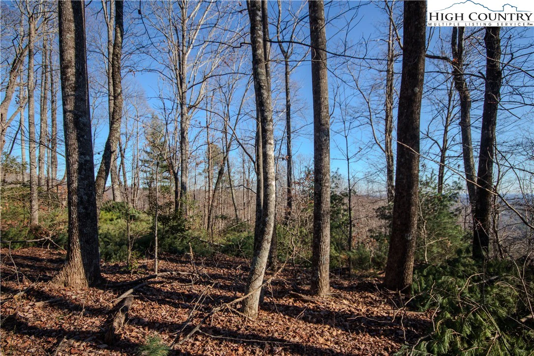Image number 8 for the current listing