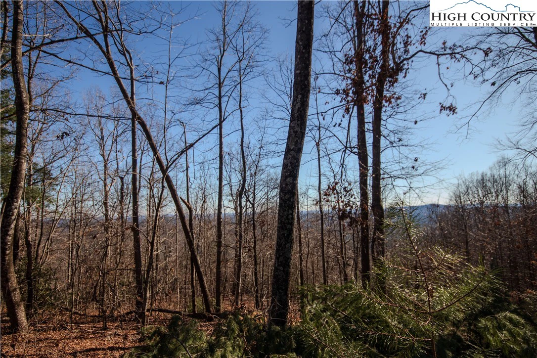 Image number 11 for the current listing