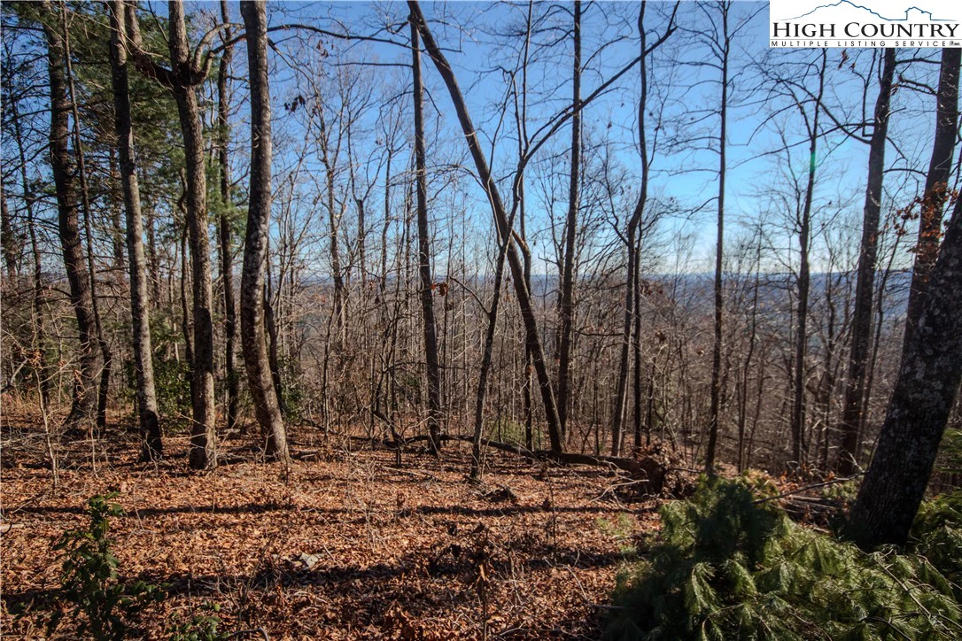 Image number 12 for the current listing