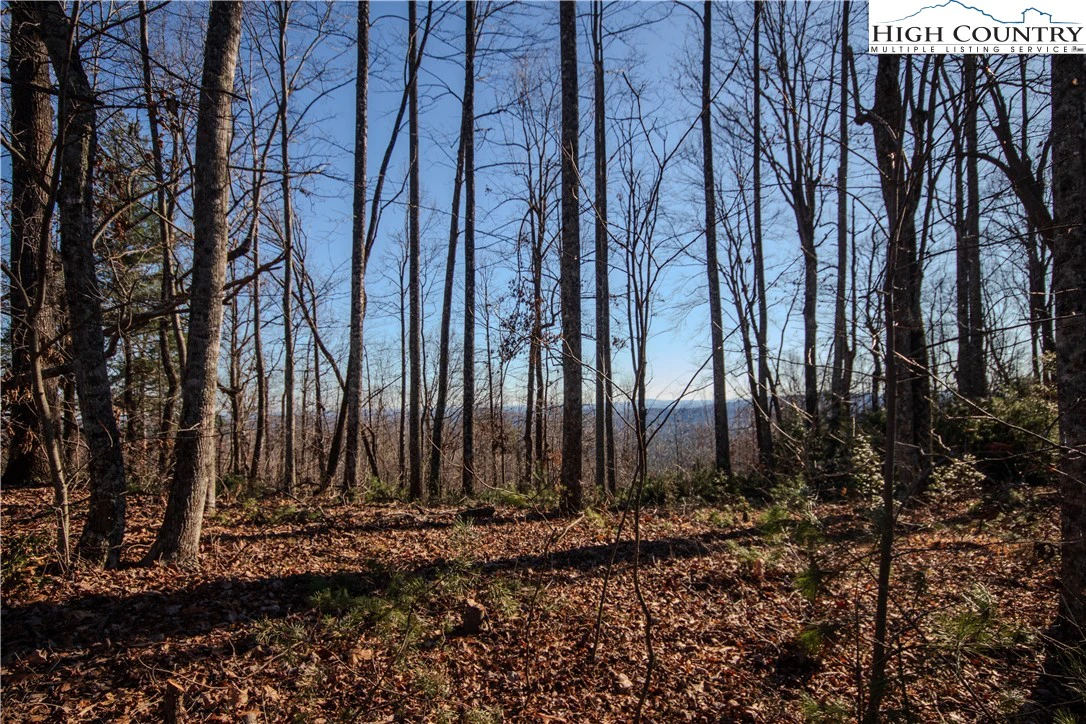 Image number 14 for the current listing