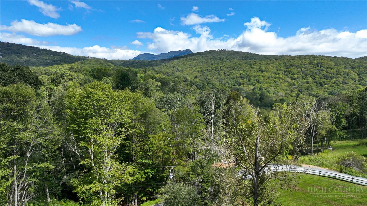 Image number 2 for the current listing