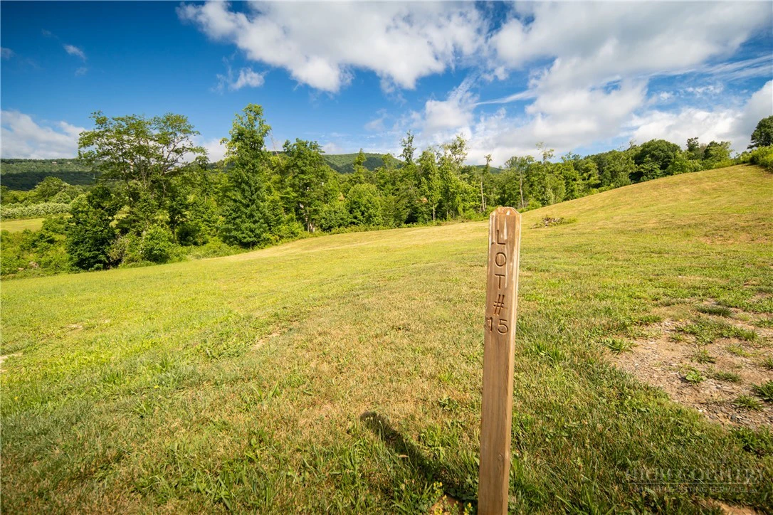 Image number 2 for the current listing