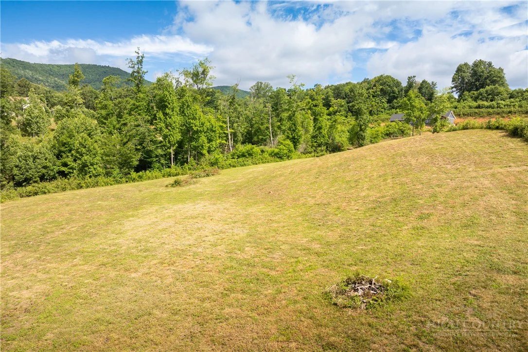 Image number 7 for the current listing
