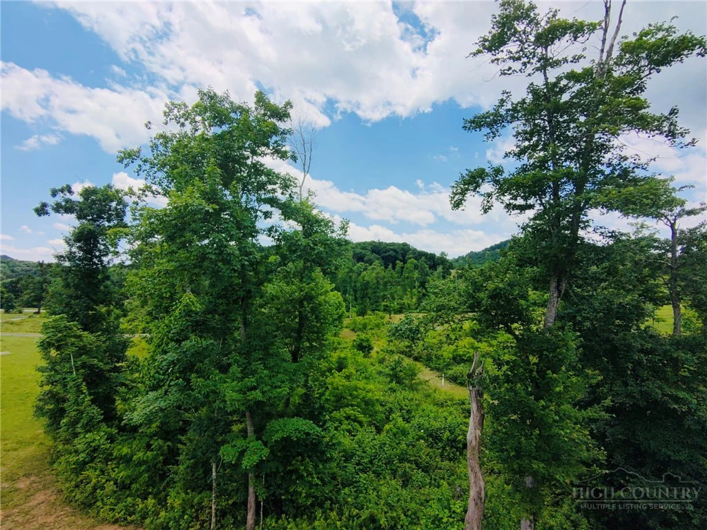 Image number 21 for the current listing