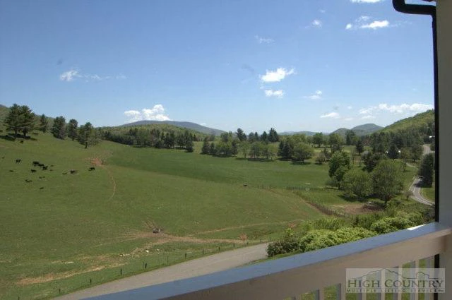 Image number 2 for the current listing