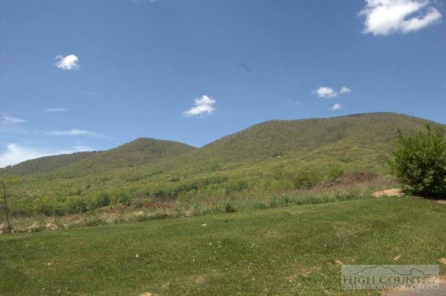 Image number 12 for the current listing