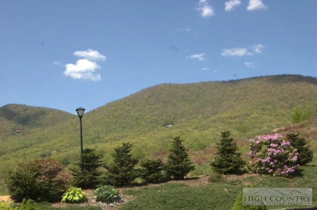 Image number 11 for the current listing