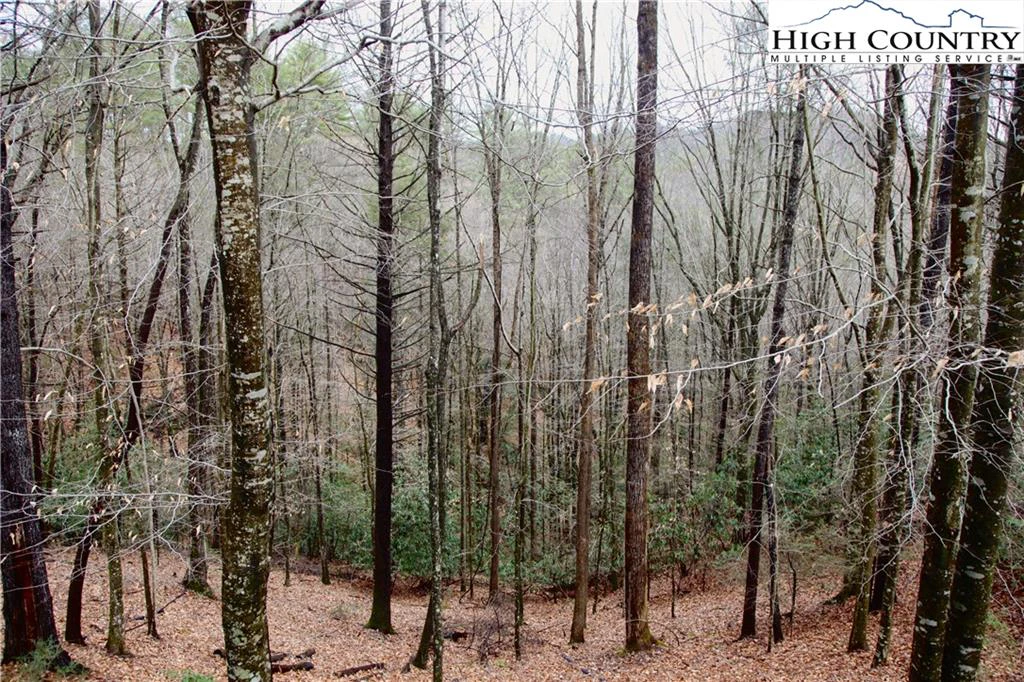 Image number 3 for the current listing