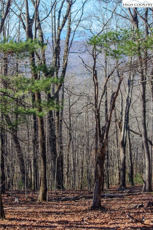 Image number 3 for the current listing