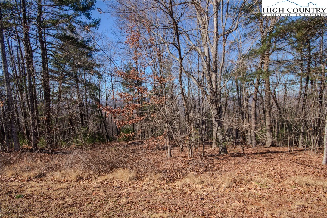 Image number 4 for the current listing