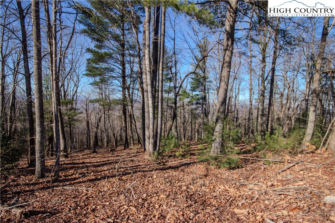 Image number 5 for the current listing
