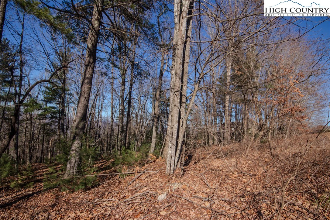 Image number 6 for the current listing
