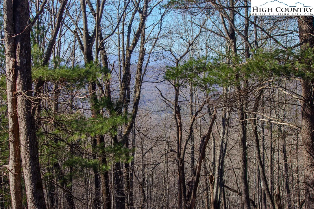 Image number 8 for the current listing
