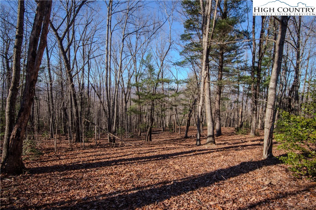 Image number 9 for the current listing
