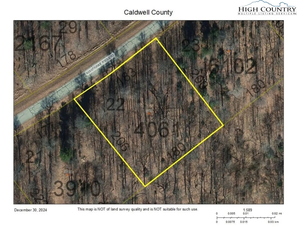 Image number 1 for the current listing