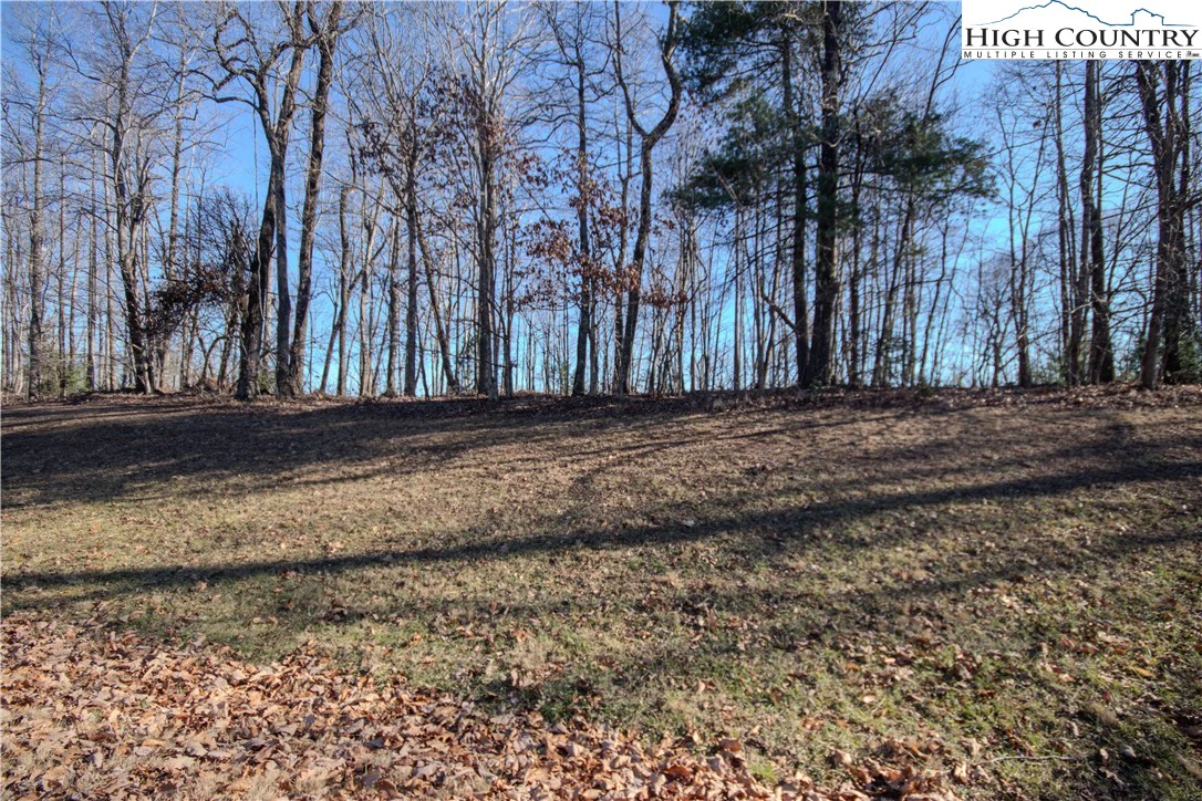 Image number 3 for the current listing