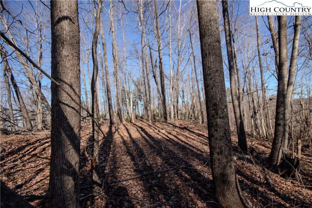 Image number 6 for the current listing