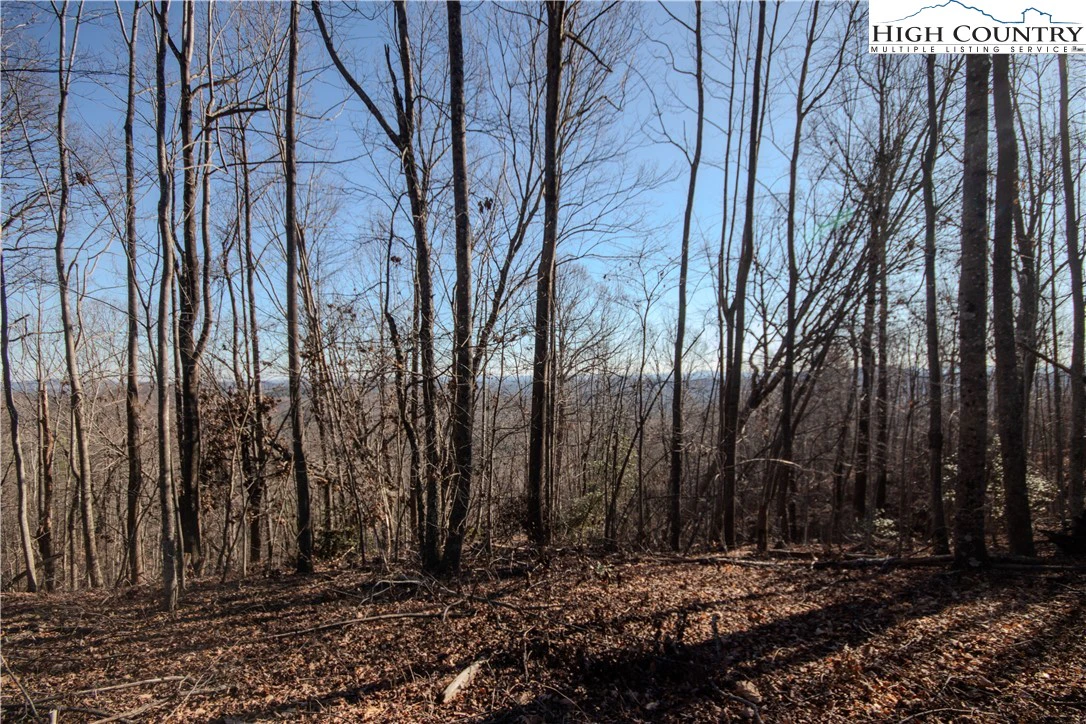 Image number 5 for the current listing