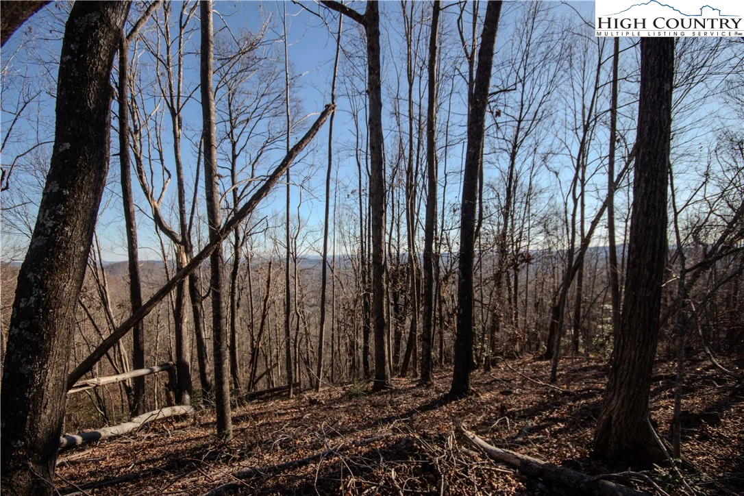 Image number 9 for the current listing