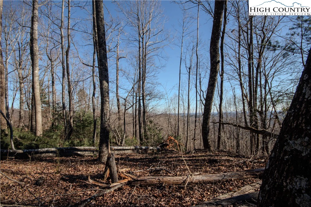 Image number 11 for the current listing