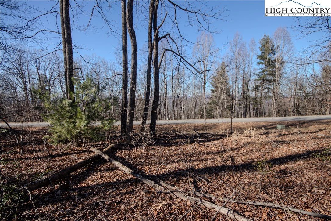 Image number 12 for the current listing
