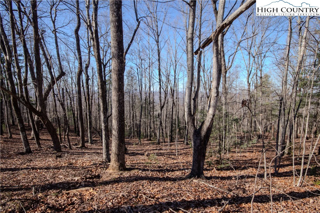 Image number 3 for the current listing