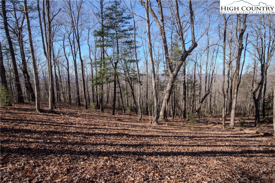 Image number 4 for the current listing