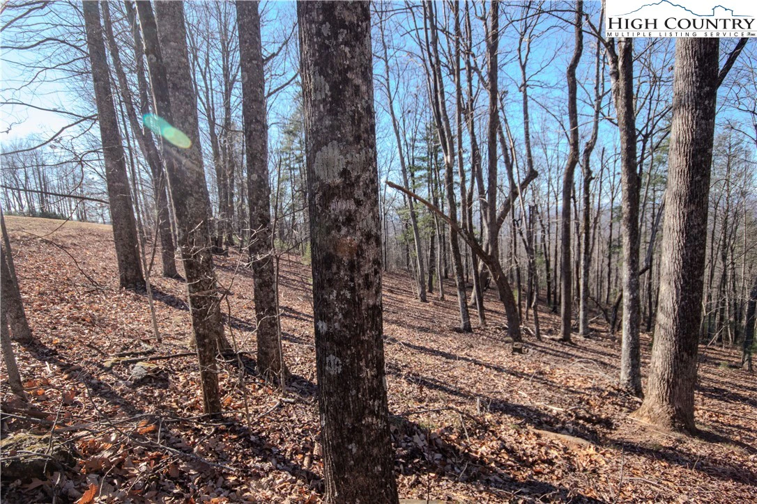 Image number 6 for the current listing