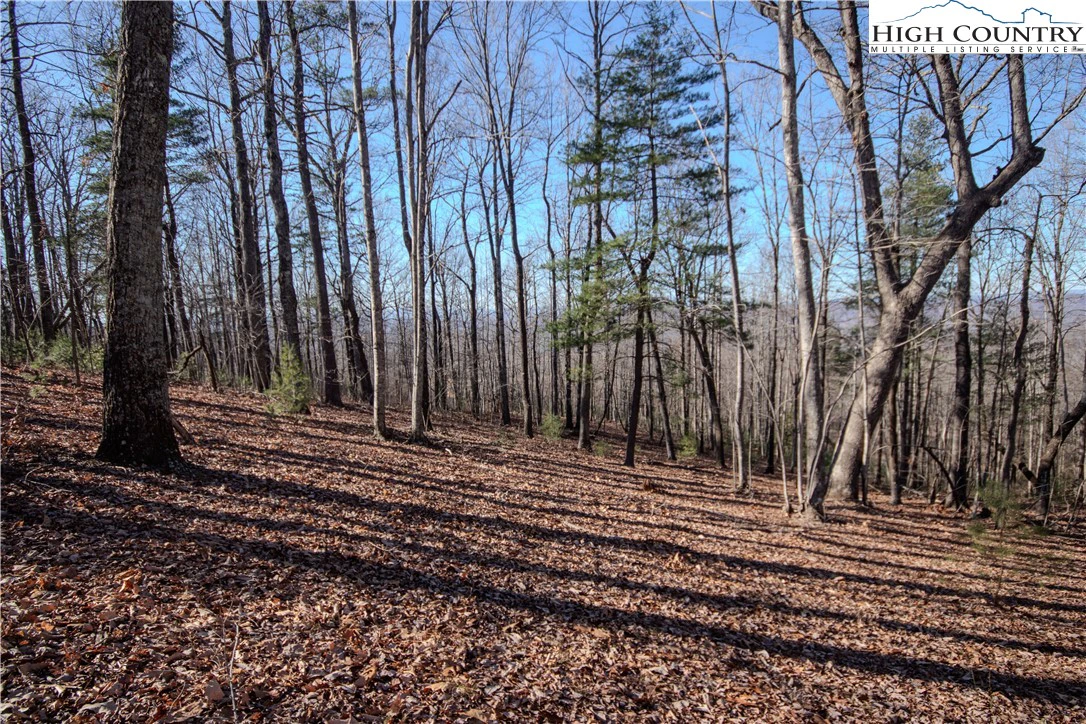 Image number 7 for the current listing