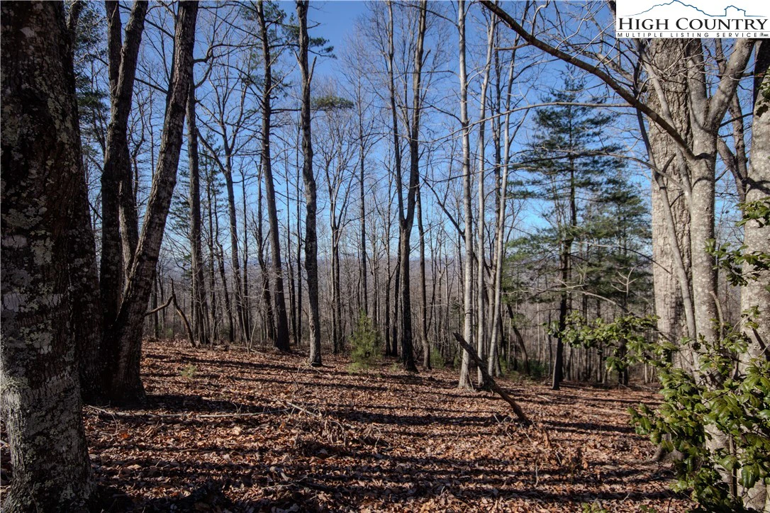 Image number 8 for the current listing