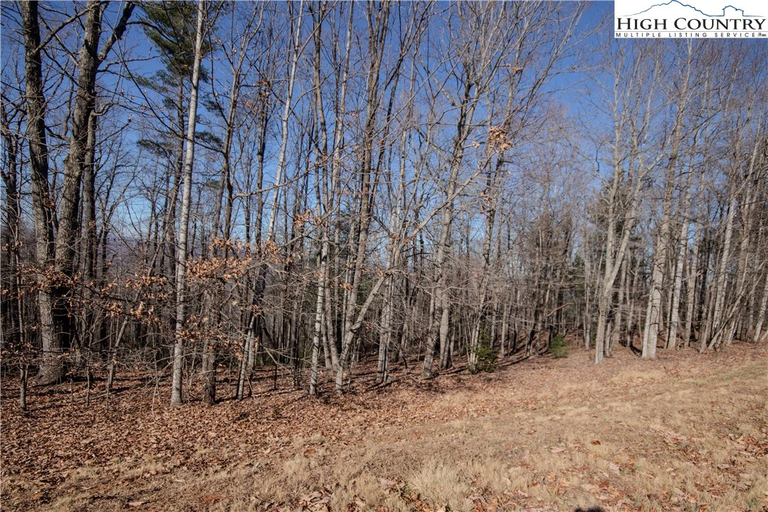 Image number 9 for the current listing