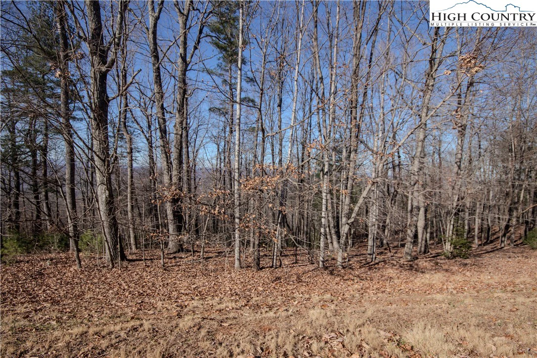 Image number 10 for the current listing