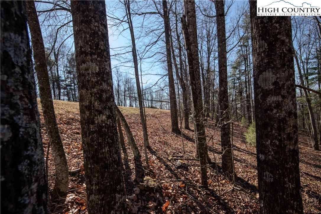 Image number 11 for the current listing