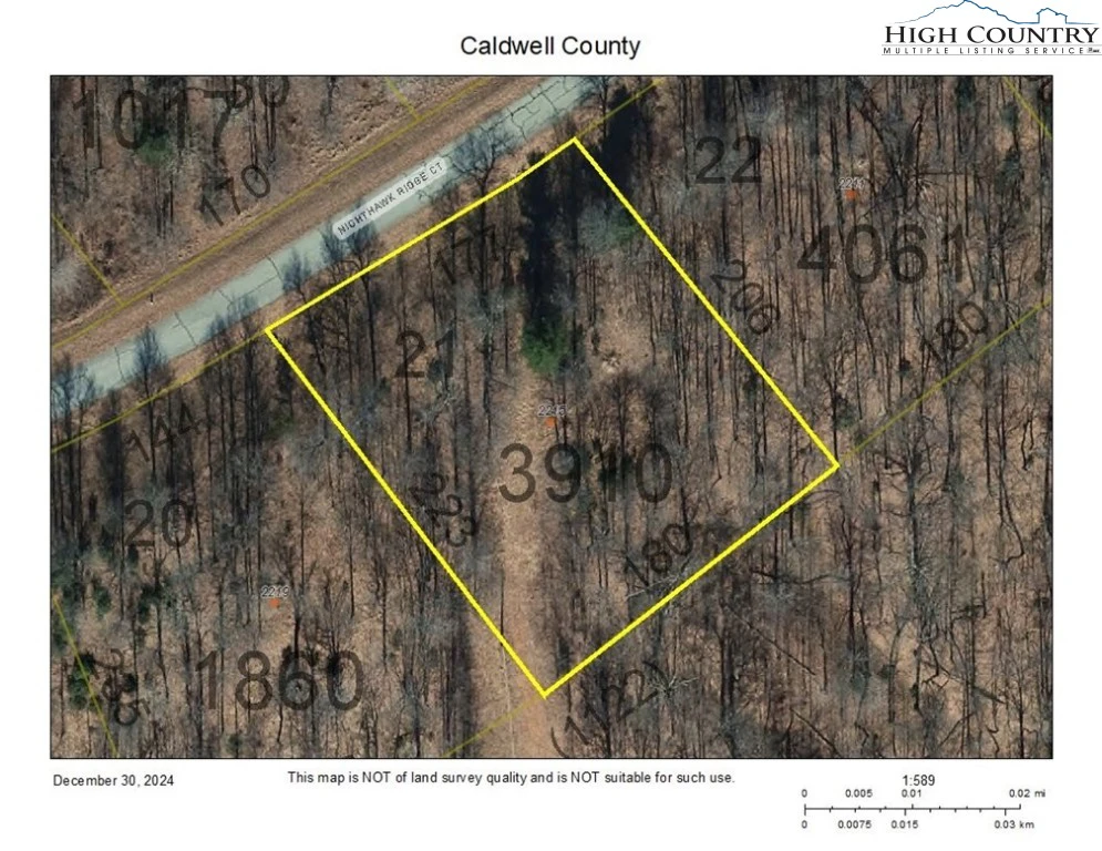 Image number 1 for the current listing