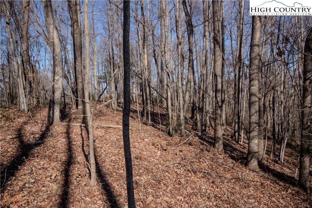 Image number 11 for the current listing