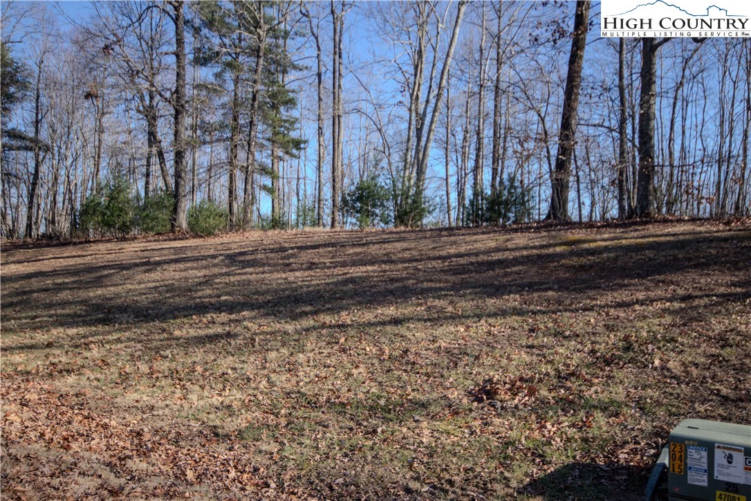Image number 3 for the current listing